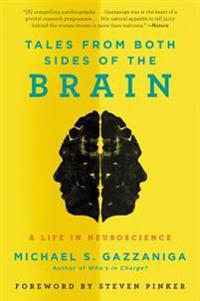 Tales from Both Sides of the Brain