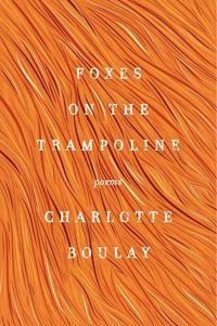 Foxes On The Trampoline