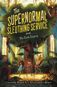 Supernormal Sleuthing Service