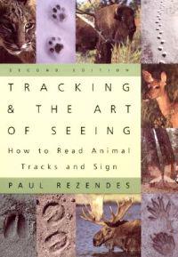 Tracking and the Art of Seeing