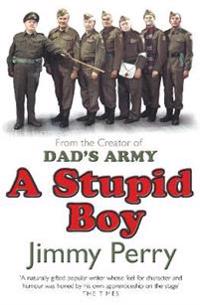 Stupid Boy