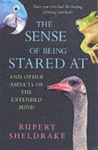 The Sense Of Being Stared At