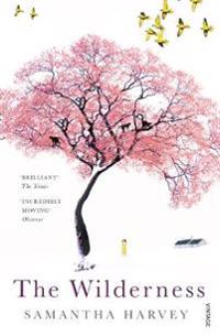 The wilderness