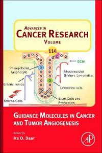 Guidance Molecules in Cancer and Tumor Angiogenesis