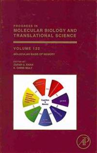 Molecular Basis of Memory