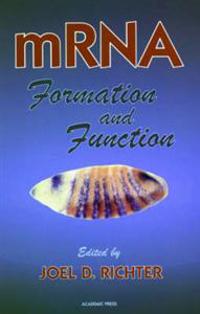 mRNA Formation and Function