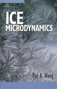 Ice Microdynamics
