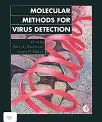 Molecular Methods for Virus Detection