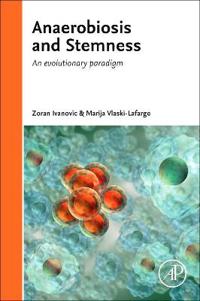 Anaerobiosis and Stemness