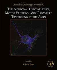 Neuronal Cytoskeleton, Motor Proteins, and Organelle Trafficking in the Axon