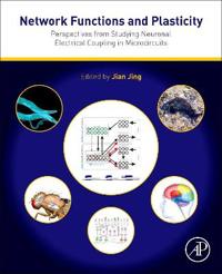 Network Functions and Plasticity