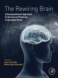 Rewiring Brain