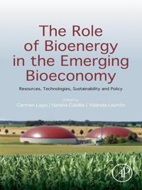 Role of Bioenergy in the Emerging Bioeconomy