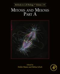 Mitosis and Meiosis Part A