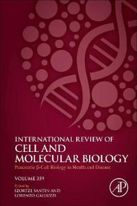 Pancreatic B Cell Biology in Health and Disease