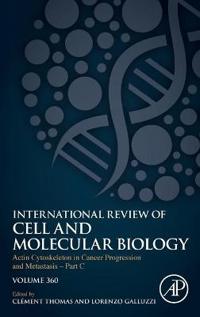 Actin Cytoskeleton in Cancer Progression and Metastasis – Part C