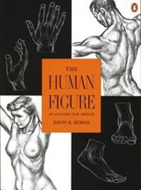The Human Figure