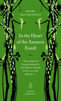 In the Heart of the Amazon Forest