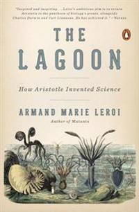 The Lagoon
