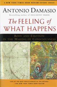 The Feeling of What Happens