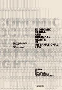 Economic, Social, and Cultural Rights in International Law