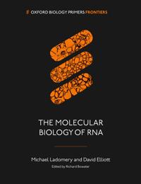 The Molecular Biology of RNA
