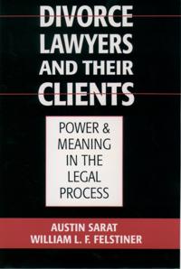 Divorce Lawyers and Their Clients
