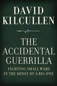 Accidental Guerrilla: Fighting Small Wars in the Midst of a Big One