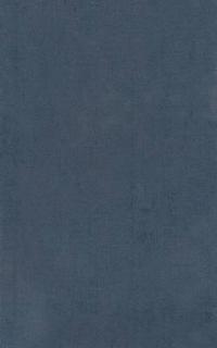 Homer Vol. II. Iliad (Books XIII-XXIV)