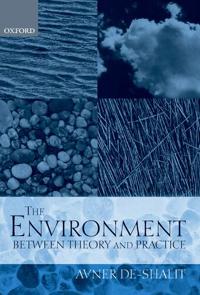 The Environment Between Theory and Practice