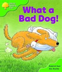 Oxford Reading Tree: Level 2: Big Book Pack (6 books, 1 of each title)