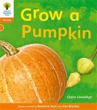 Oxford Reading Tree: Level 6: Floppy's Phonics Non-Fiction: Grow a Pumpkin