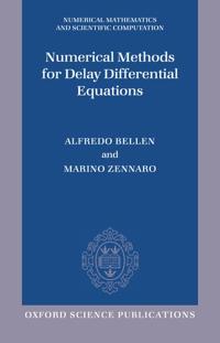 Numerical Methods for Delay Differential Equations