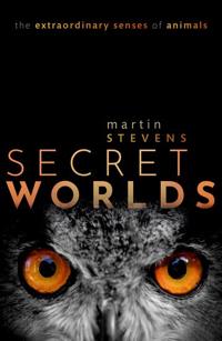Bokomslag for "Secret Worlds"
