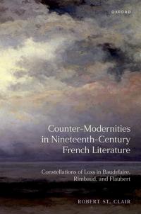 Counter-Modernities in Nineteenth-Century French Literature