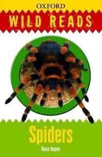 Spiders
