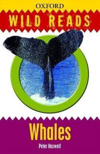 Whales