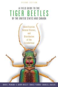 Bokomslag för "A Field Guide to the Tiger Beetles of the United States and Canada"
