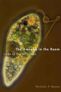 Amoeba in the Room: Lives of the Microbes