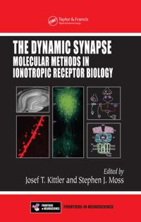 Frontiers in Neuroscience