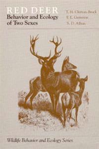 Red Deer (Paper Only)
