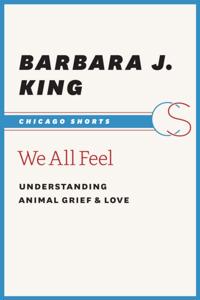 Chicago Shorts