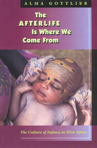 Bokomslag for "The Afterlife Is Where We Come From"