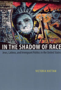 Bokomslag for "In the Shadow of Race"