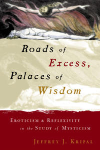 Kirjan kansi "Roads of Excess, Palaces of Wisdom"