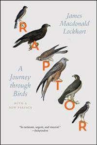 Raptor