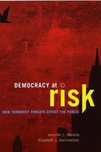 Bokomslag for "Democracy at Risk"