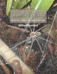 Spider Webs