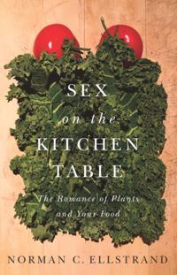 Sex on the Kitchen Table