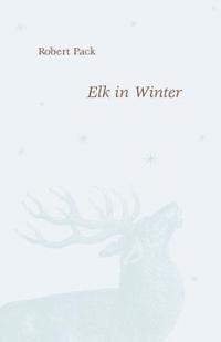 Elk in Winter